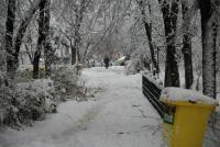 Imagine atasata: tim3-16.Dec.2018-002.jpg